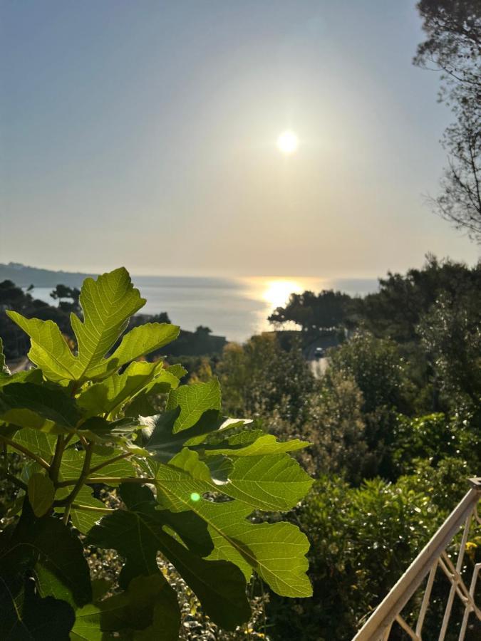 Limonaia In Salento Βίλα Marittima Εξωτερικό φωτογραφία