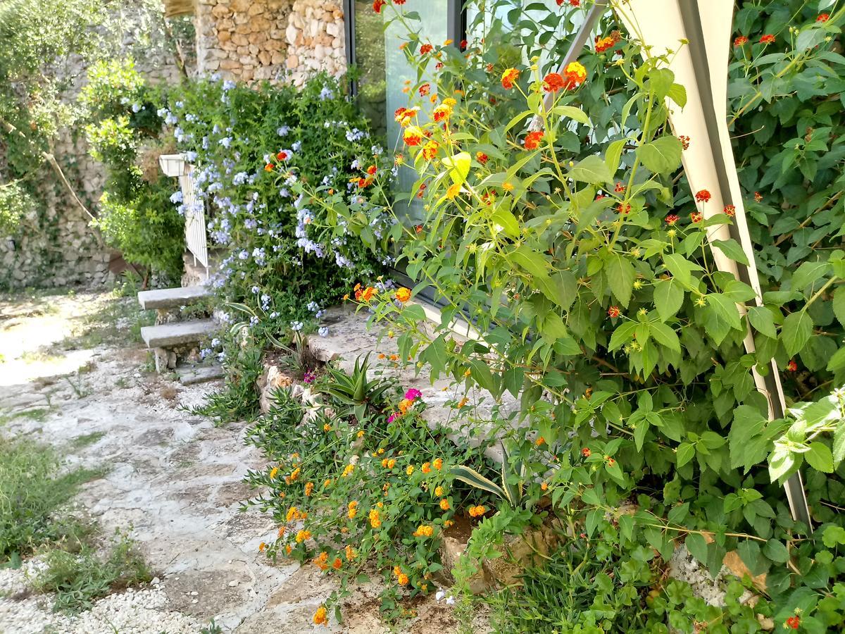 Limonaia In Salento Βίλα Marittima Εξωτερικό φωτογραφία
