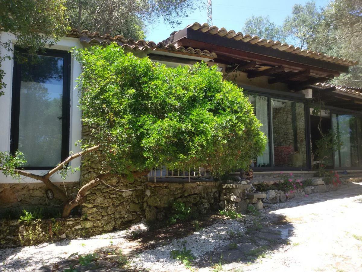 Limonaia In Salento Βίλα Marittima Εξωτερικό φωτογραφία